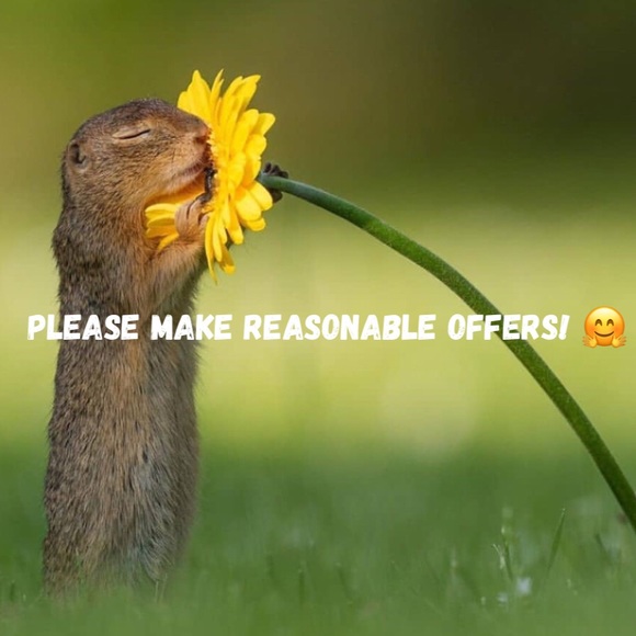 Meet your Posher, Sunshine - Picture 2 of 2